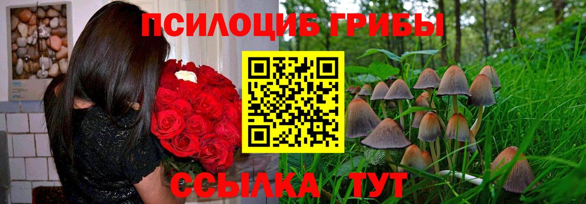 Галлюциногенные грибы MAGIC MUSHROOMS Набережные Челны